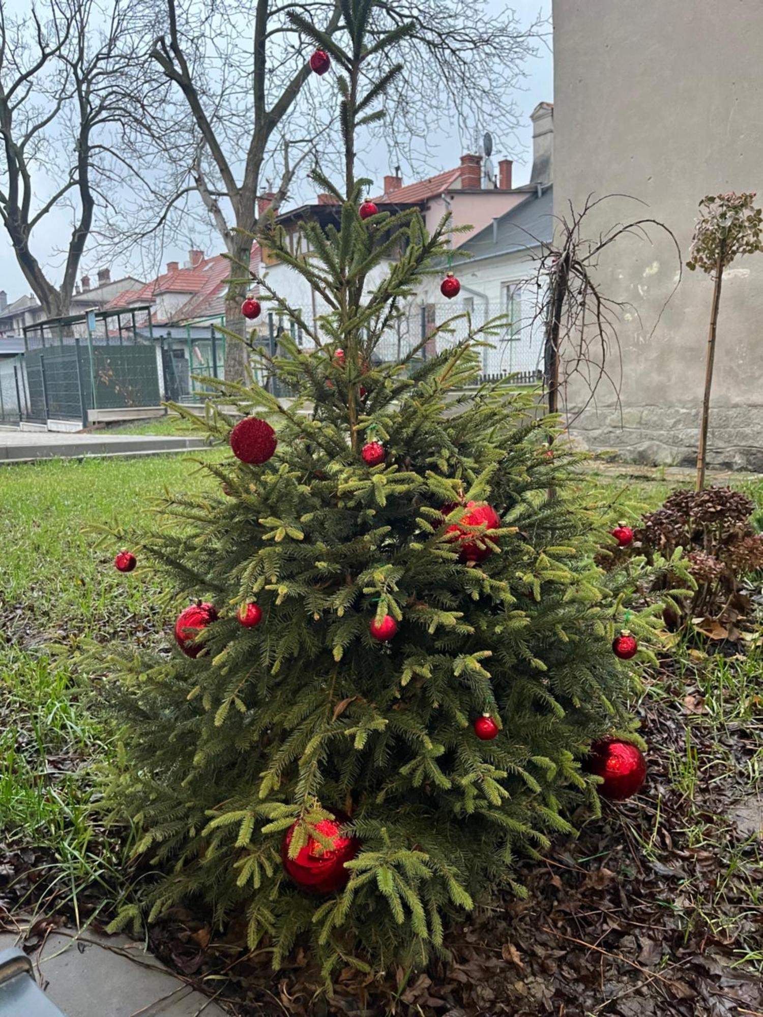 Apartament Kaszmirowy Bielsko-Biala Bagian luar foto