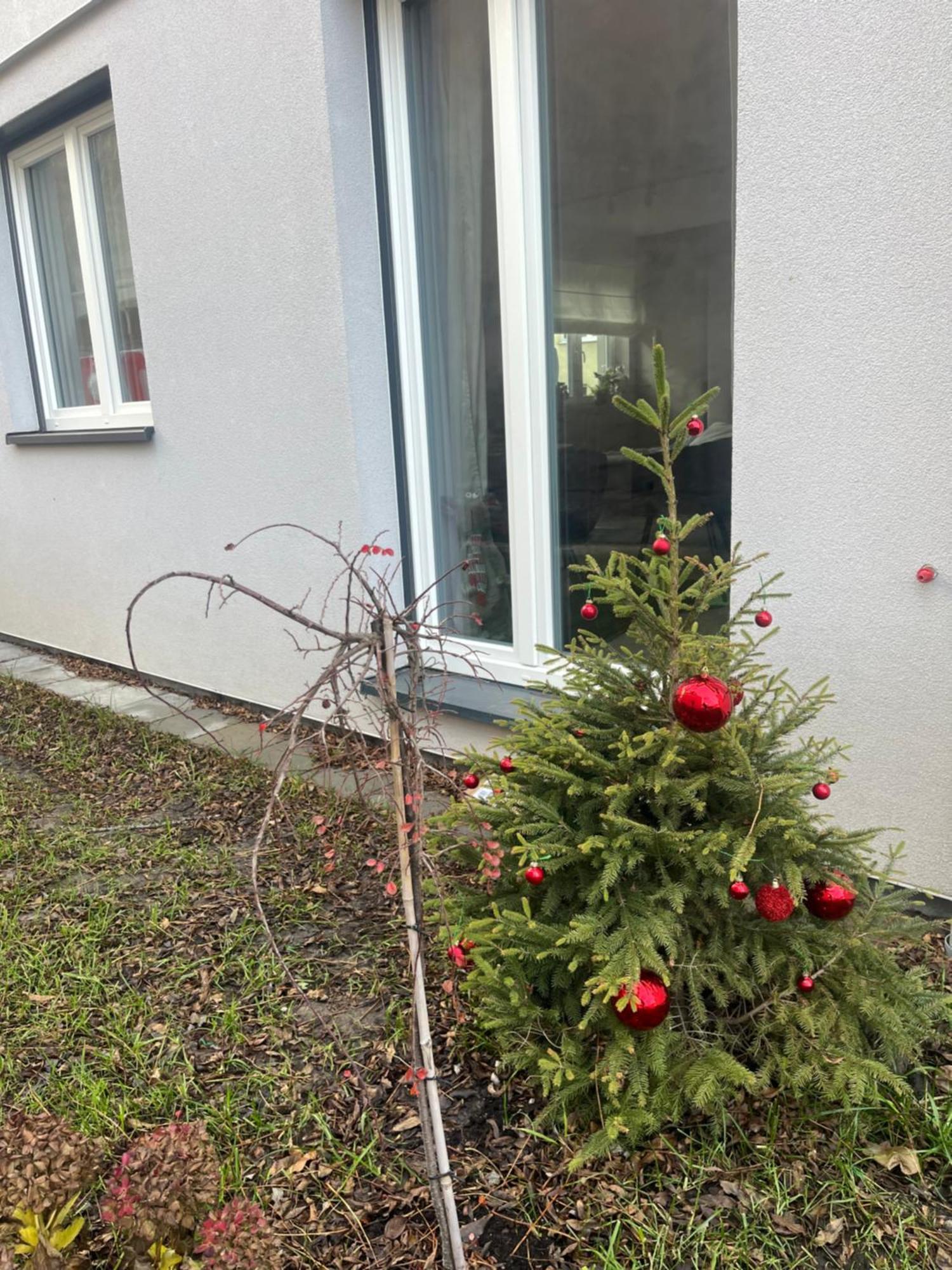 Apartament Kaszmirowy Bielsko-Biala Bagian luar foto