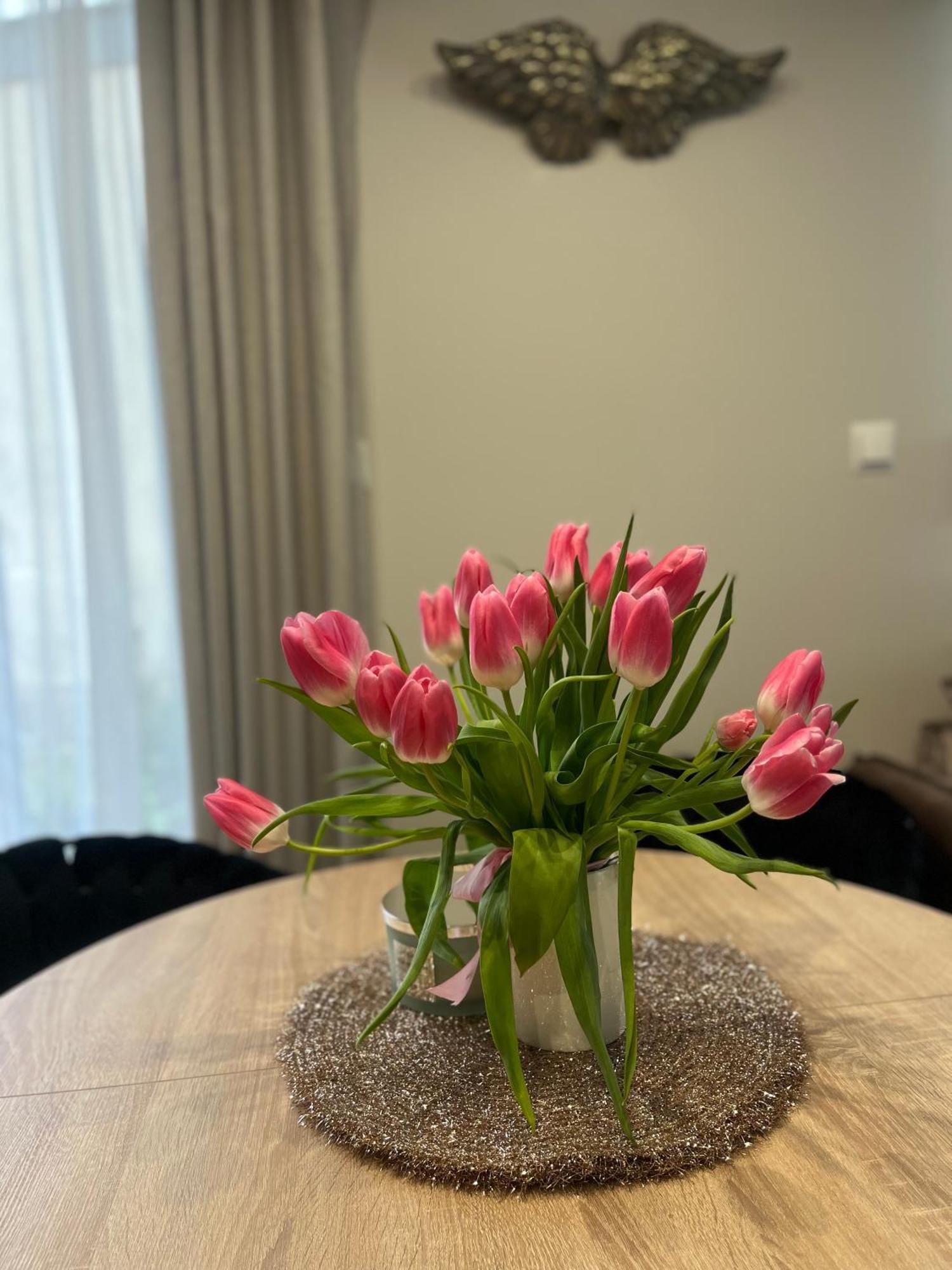 Apartament Kaszmirowy Bielsko-Biala Bagian luar foto
